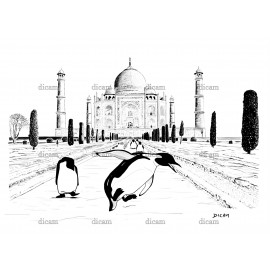 PIC Taj Mahal